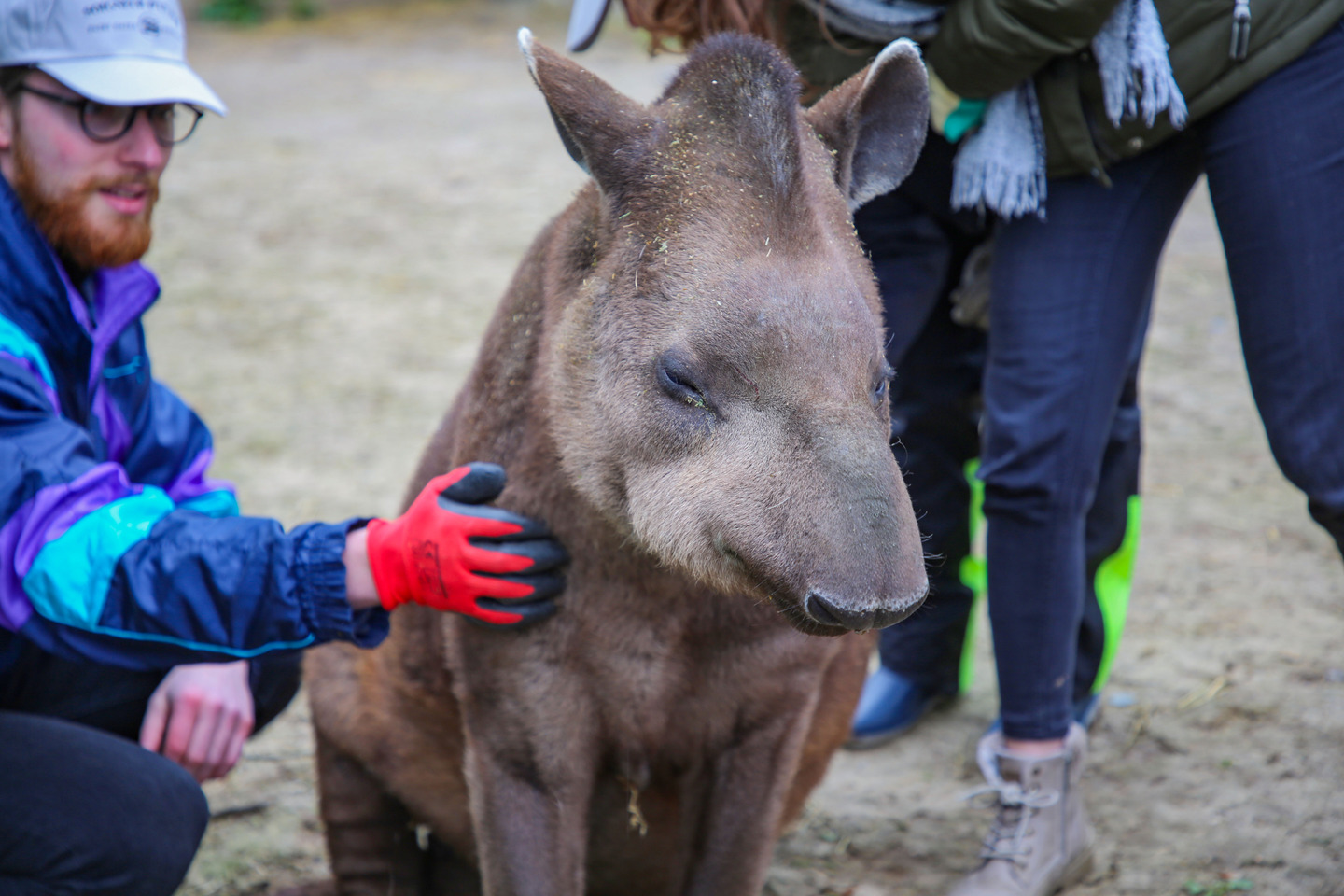Animal Adventures | Pairi Daiza