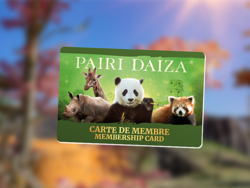 Day Tickets And Membership Cards Pairi Daiza