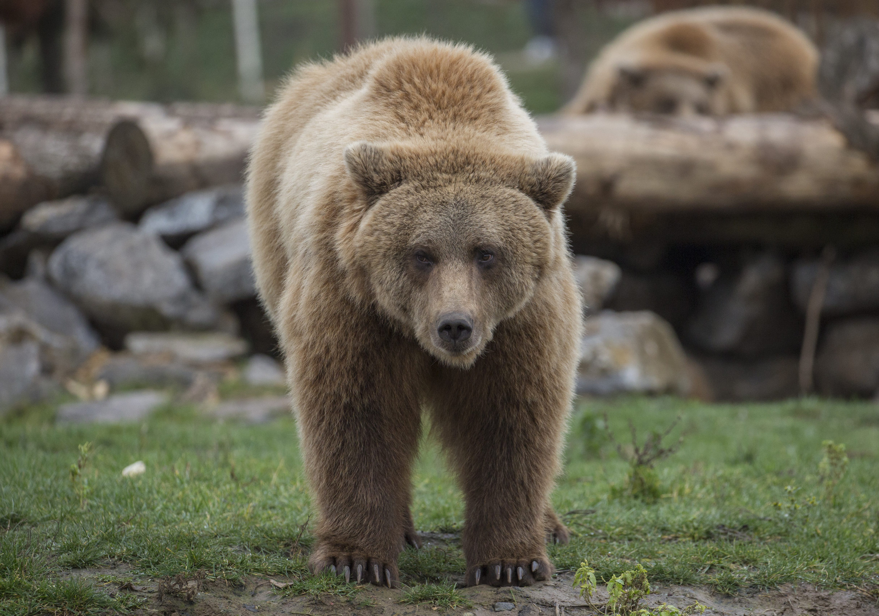 Canada's Toughest Thruhike: The Great Divide Trail by Sara Dhooma, image size:2880x2018